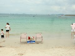 -杨梅坑