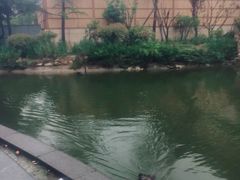 -芭东小镇温泉