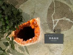 -中国地质博物馆