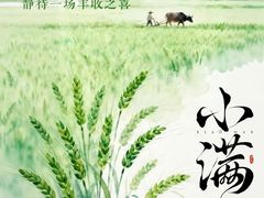 -相椰·椰子鸡(元芬店)