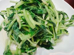 清炒鸡毛菜-峨嵋酒家(德内店)