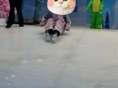 -西安银基冰雪世界