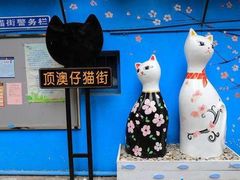 -猫咪博物馆(顶澳仔猫街店)