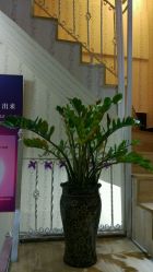 -倾城妃姿美疗中心