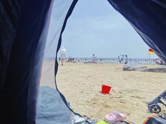 -碧海金沙