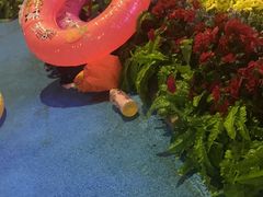 -天山海世界·米立方