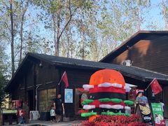 -合肥滨湖国家森林公园