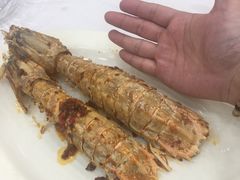 -湛江渔港·大排档(乐园路总店)
