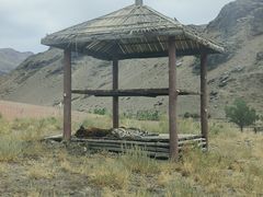 -新疆天山野生动物园