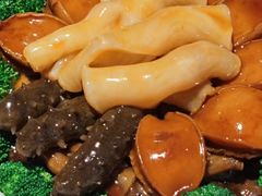 -原志优秀食材·匠心料理·海胆主题(金亿广场店)