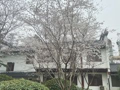 -堤角公园