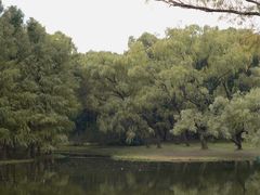 -上海共青森林公园