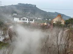 -正宗火盆自助烧烤·烤全羊·柴火鸡(龙泉山店)