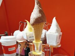 -野人先生现做冰淇淋(北京王府井东方新天地店)