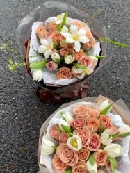 -Oasis Beauty水磨坊科技美肤中心