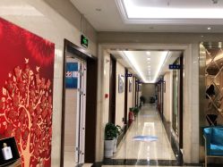 -碧莲盛·不剃发植发