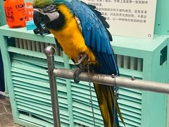-哈尔滨融创乐园