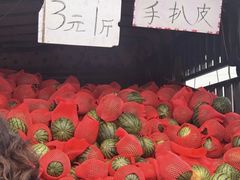 -蒲河大集