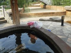 -龙达温泉生态城
