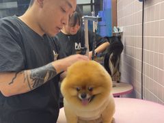 -FAELING PETS美天灵宠物(富力广场店)