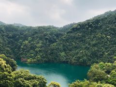 -鼎湖山风景区
