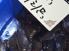 -蚝得喜海鲜(东城店)