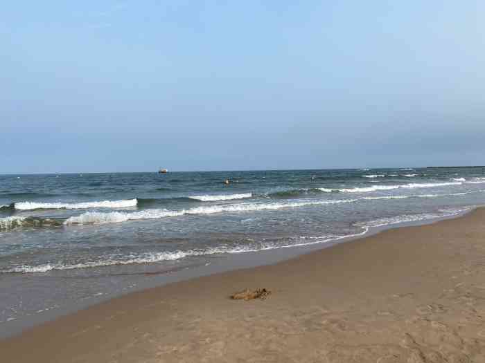 碧海浴场-"这片大海我包圆了!海边浴场属于渤海湾,."-大众点评移动版