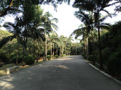 -紫马岭公园
