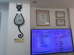 -北京观赏动物医院·24小时大型综合·猫专科·异宠专科