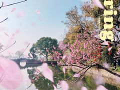 -无锡蠡湖国家湿地公园-蠡园