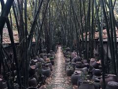 -老木棉·匠园