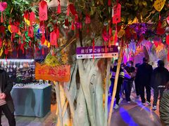 -横店影视城梦幻谷园区