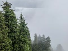 -盐湖景区