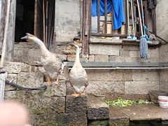 -仓桥直街