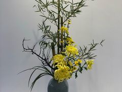 -共青国家森林公园-售票处