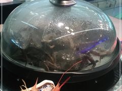 -乔哥铭洋海鲜自助(皇城恒隆广场店)