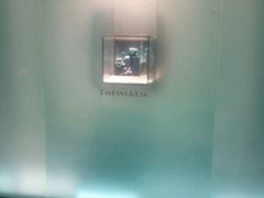 -Tiffany & Co.蒂芙尼
(广州太古汇店)