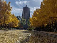 -玲珑塔公园