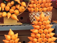 -越秀西湖花市(广州城市广场花卉店)