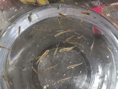 -快活林烧烤(红新路店)