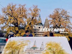 -北京石刻艺术博物馆(五塔寺)