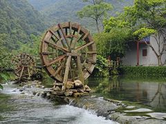-靖西鹅泉风景区