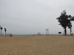 -玫瑰海岸文化旅游度假区