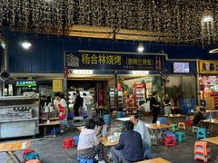 -杨合林啊兰烤鱼