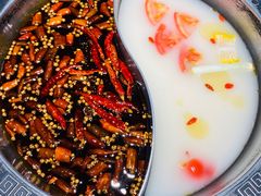-销魂美蛙鱼头火锅(上海首店)