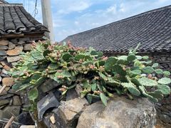 -许家山