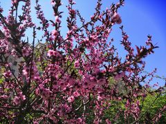 -聚家乐生鲜超市(枫林路店)