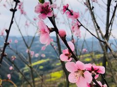 -石潭村