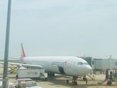 -上海浦东国际机场-T2航站楼