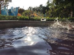 -南宫温泉水世界